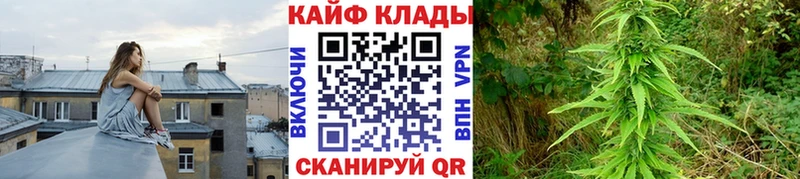 Купить Можга АМФЕТАМИН  A-PVP  Меф  Cocaine  ГАШИШ 