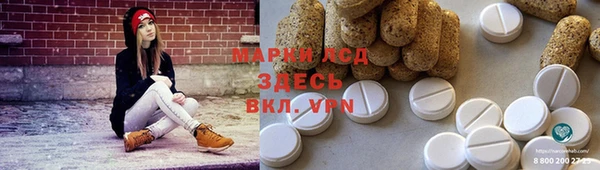 гашик Костерёво