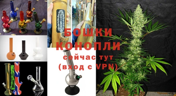 гашик Костерёво
