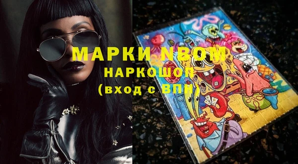 гашик Костерёво