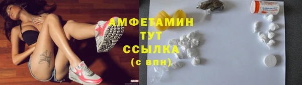 гашик Костерёво