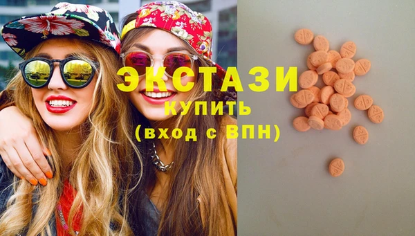 гашик Костерёво