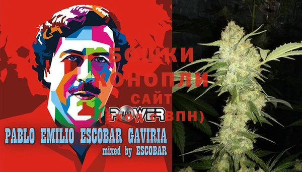 гашик Костерёво