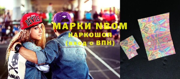 гашик Костерёво