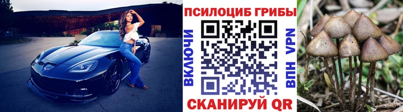 Галлюциногенные грибы GOLDEN TEACHER  Можга 
